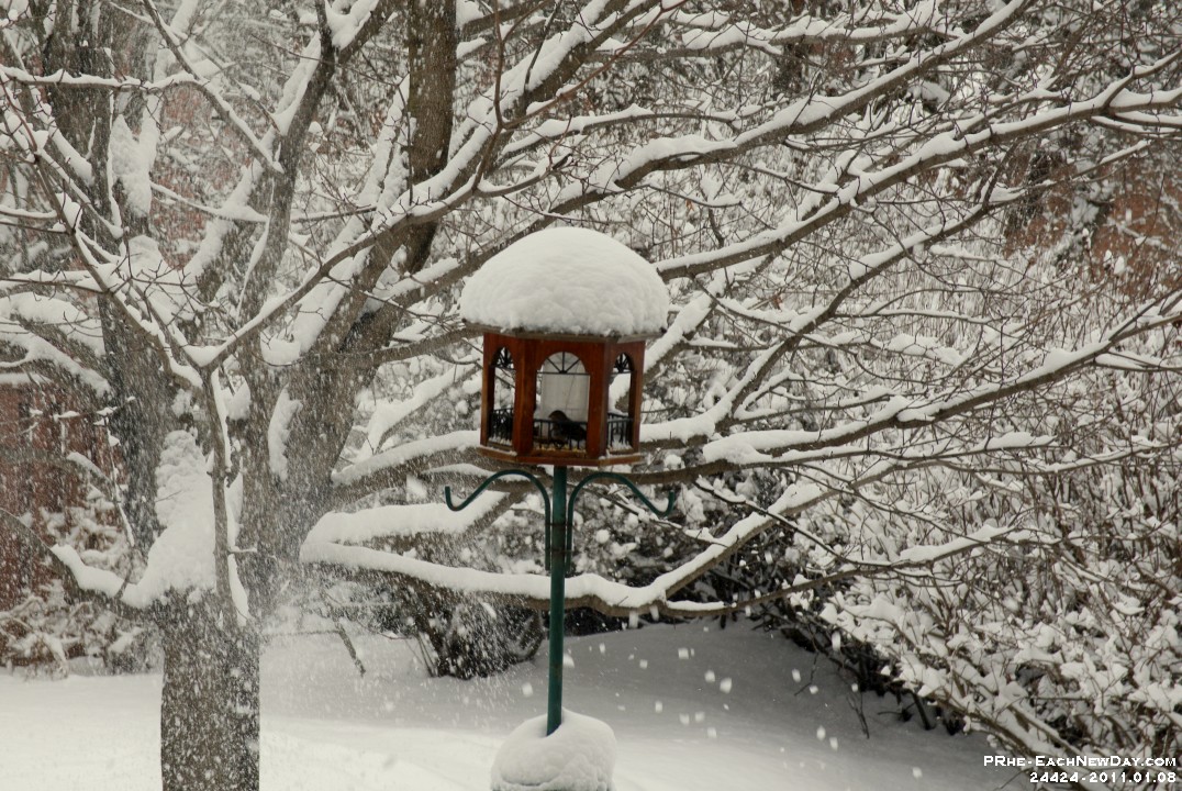 24424ReCrLe - Barefoot in the backyard